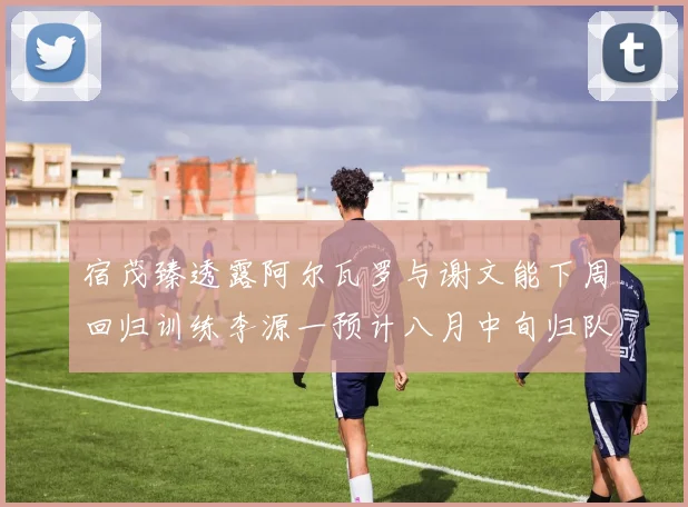 宿茂臻透露阿尔瓦罗与谢文能下周回归训练李源一预计八月中旬归队