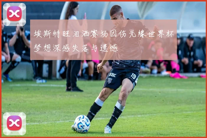 埃斯特旺泪洒赛场因伤无缘世界杯梦想深感失落与遗憾