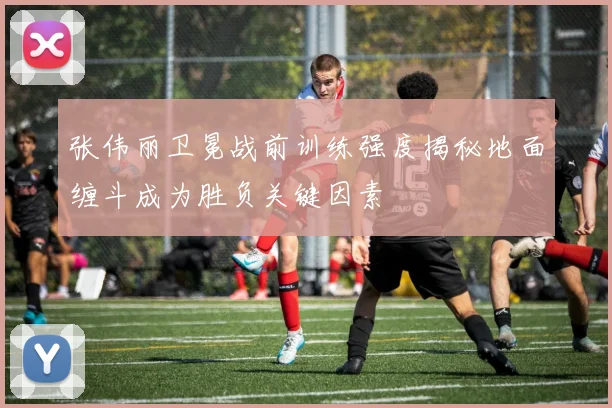 张伟丽卫冕战前训练强度揭秘地面缠斗成为胜负关键因素